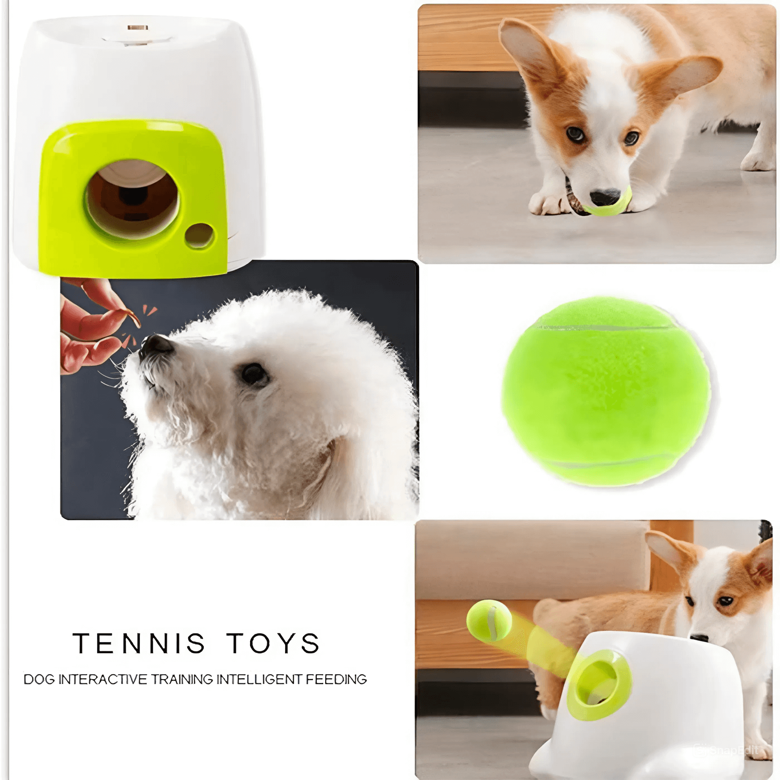 Dog toy ball launcher machine with tennis ball