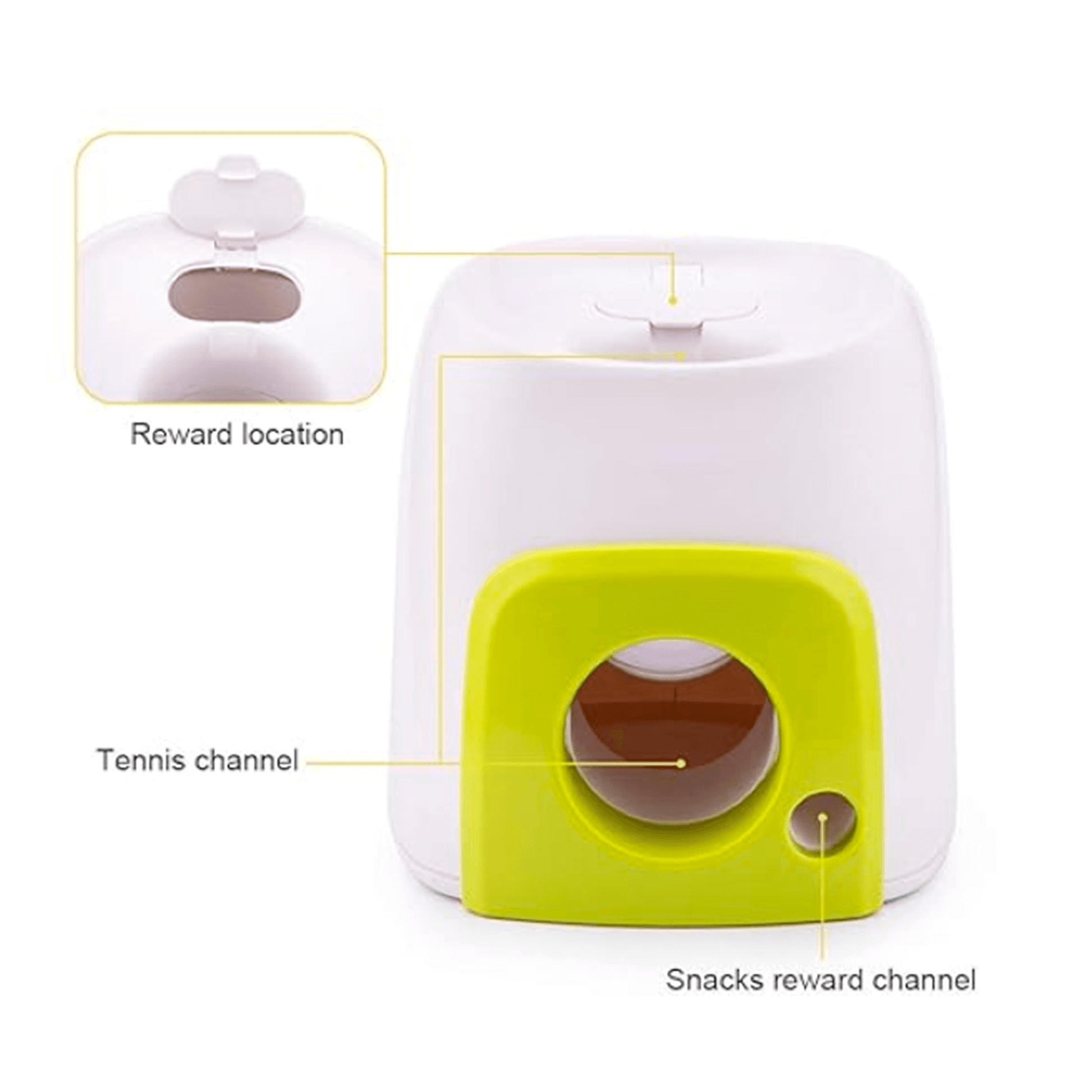 Pet playing with interactive automatic ball thrower