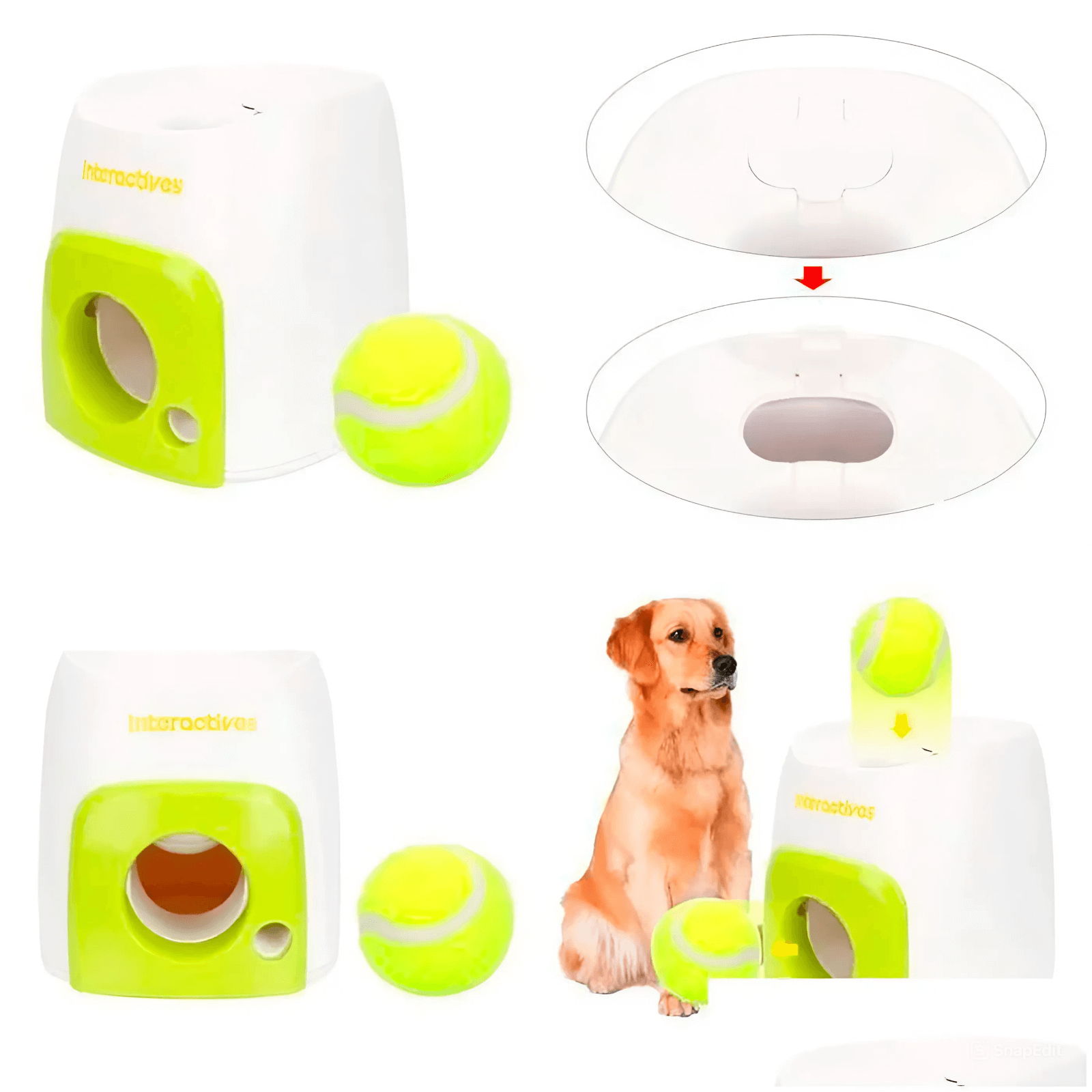 Entertainment toy for dogs that throws balls automatically
